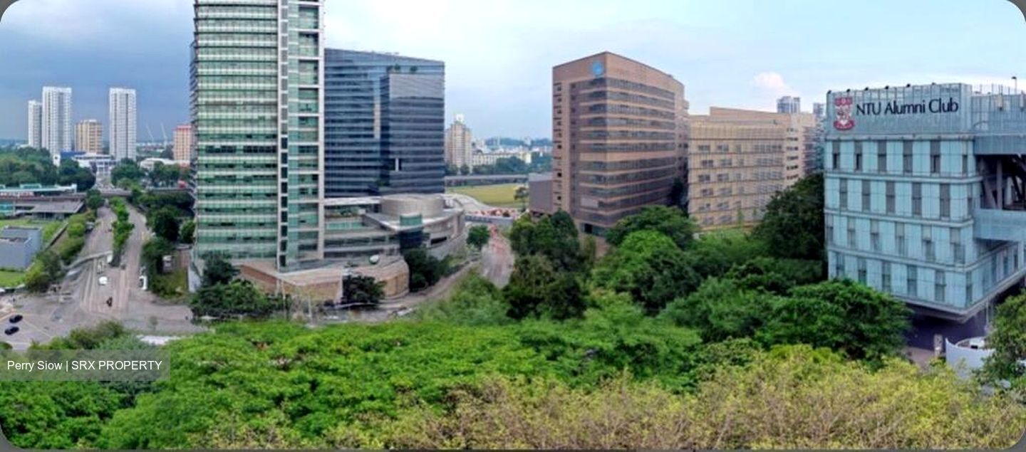 Blossoms By The Park (D5), Apartment #501862671